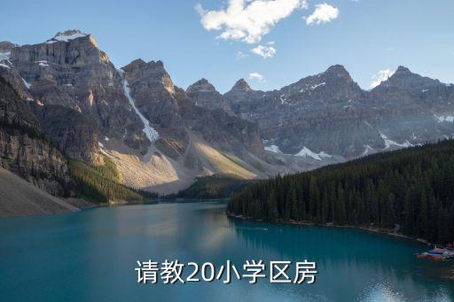 请教20小学区房