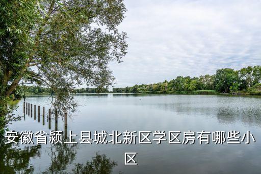安徽省颍上县城北新区学区房有哪些小区