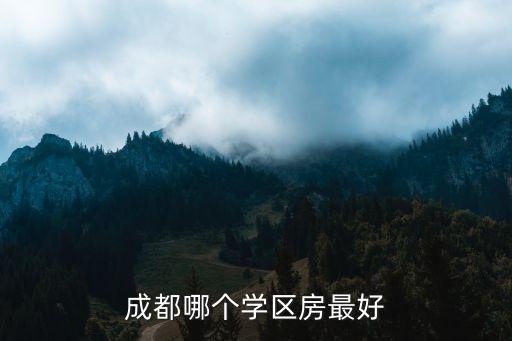 纬五路一小哪个学区房最好，纬五路一小优胜路小学伊河路小学哪个好