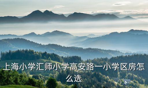 徐家汇学区房哪个房好卖，上海徐汇学区房买哪里好