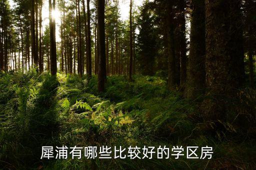 犀浦有哪些比较好的学区房