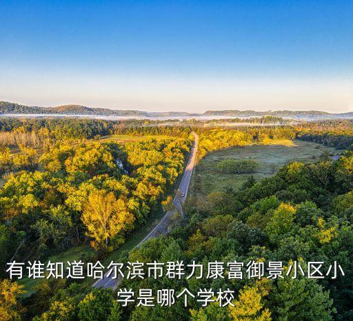 有谁知道哈尔滨市群力康富御景小区小学是哪个学校