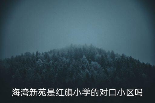 东营红旗小学学区房有哪些，海湾新苑是红旗小学的对口小区吗