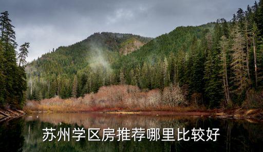 苏州学区房推荐哪里比较好