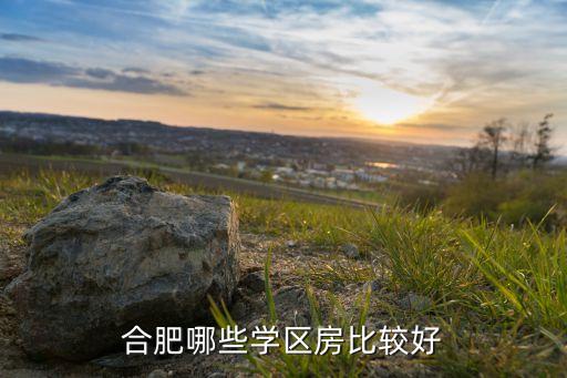 合肥哪些学区房比较好