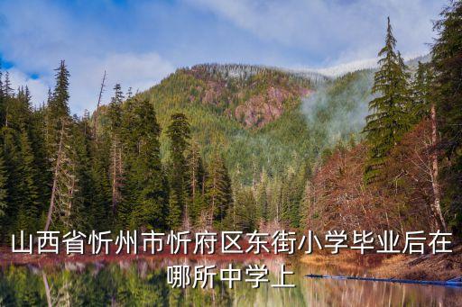 山西省忻州市忻府区东街小学毕业后在哪所中学上