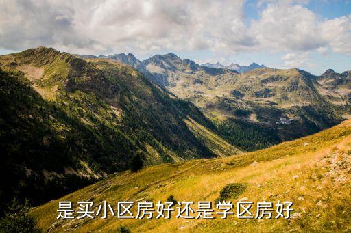 是买小区房好还是学区房好