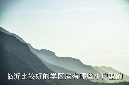 临沂比较好的学区房有哪些小户型的