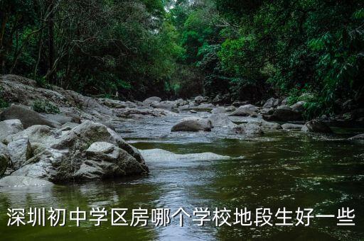 深圳初中学区房哪个学校地段生好一些