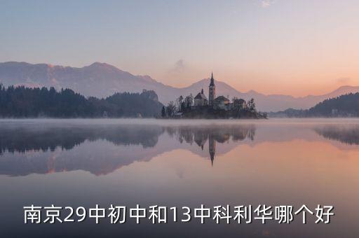 南京29中初中和13中科利华哪个好