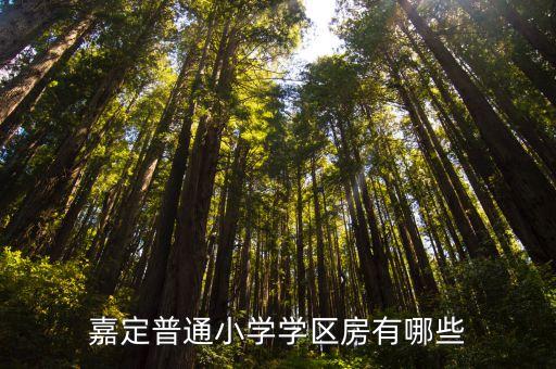 嘉定普通小学学区房有哪些