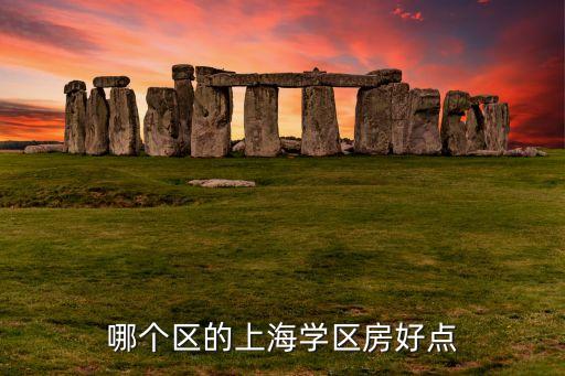 哪个区的上海学区房好点