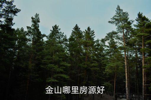 金山哪里房源好