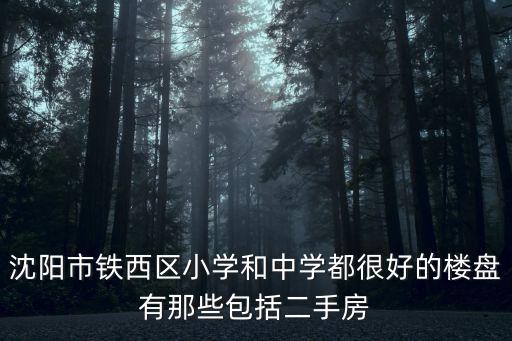 沈阳市铁西区小学和中学都很好的楼盘有那些包括二手房