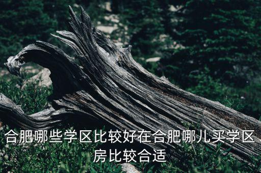 合肥哪些学区比较好在合肥哪儿买学区房比较合适
