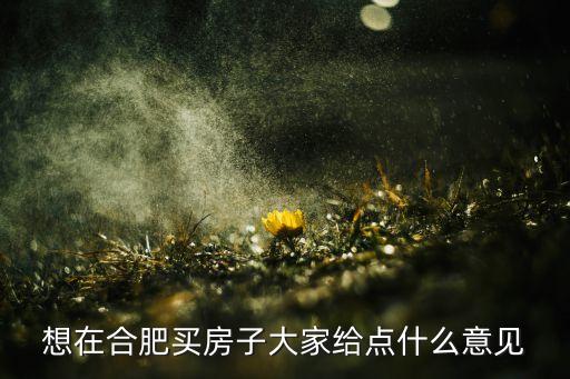 安徽哪个学区房好买一些，合肥市区哪有卖兔肉的