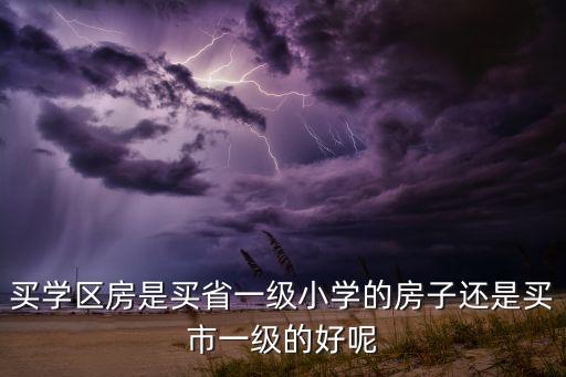 买学区房是买省一级小学的房子还是买市一级的好呢