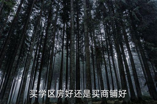 学区房与门市房哪个好住，请问学校附近投资门面房好还是学位房好