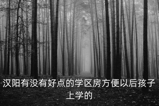 汉阳有没有好点的学区房方便以后孩子上学的