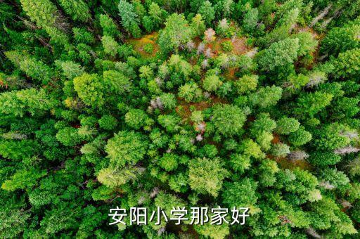 安阳的学区房哪个最好，安阳小学那家好