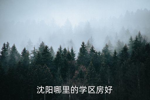 沈北新区学区房哪个好，沈阳哪里的学区房好