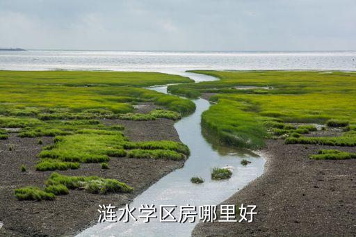 涟水学区房哪里好