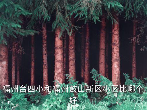 福州台四小和福州鼓山新区小区比哪个好