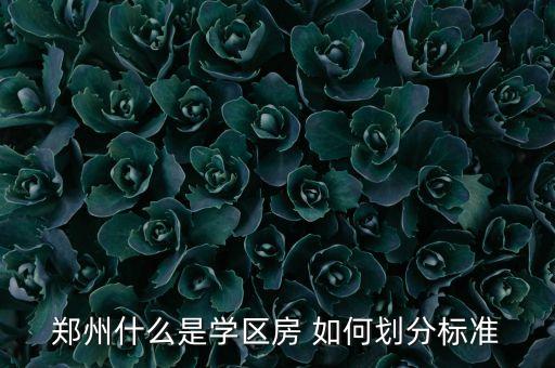 郑州哪个区域是学区房的，郑州市关于小学和中学划片的详细说明让大家费心了