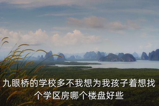 广州宝岗哪个学区房最多，广州市哪个区的学校最多