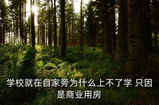学校就在自家旁为什么上不了学 只因是商业用房