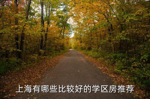 上海有哪些比较好的学区房推荐