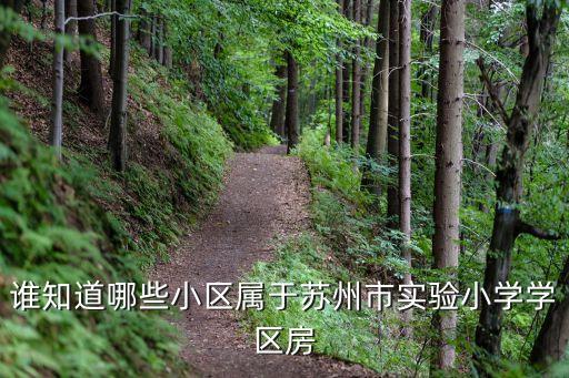 谁知道哪些小区属于苏州市实验小学学区房