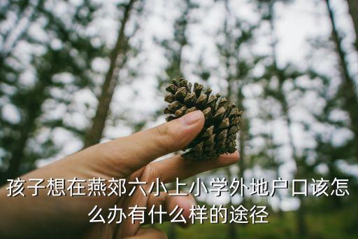 孩子想在燕郊六小上小学外地户口该怎么办有什么样的途径