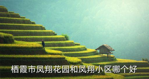 栖霞哪个小区学区房最好，南京栖霞区乡镇小学中学最好在栖霞区附近 名气不是很大的不