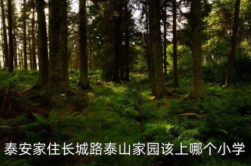 泰安家住长城路泰山家园该上哪个小学