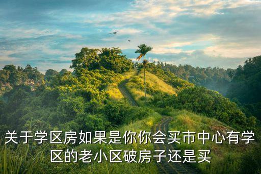 关于学区房如果是你你会买市中心有学区的老小区破房子还是买