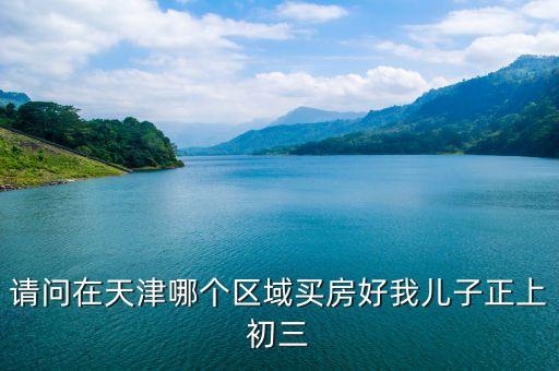 请问在天津哪个区域买房好我儿子正上初三