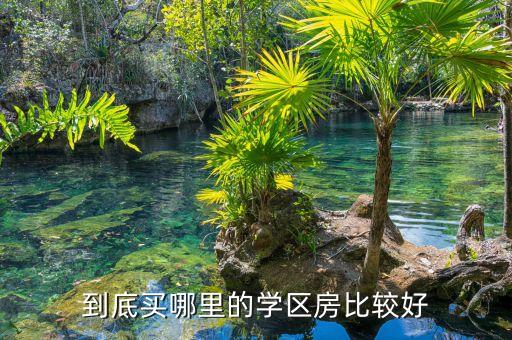 到底买哪里的学区房比较好