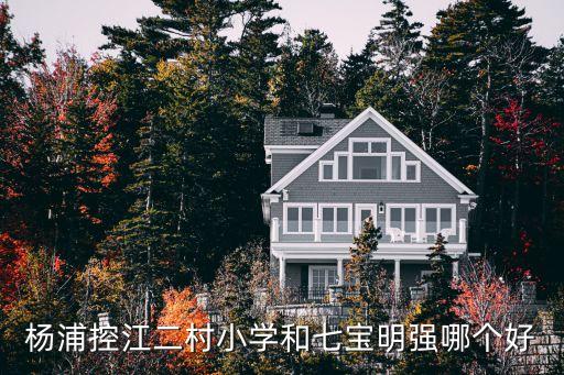 杨浦区哪个学区房好，上海杨浦区杨实验和 东光明哪个好