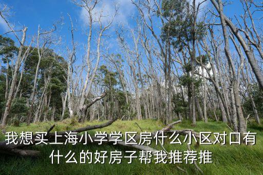 滨河小学学区房有哪些小区，请问丰满区滨河家园是哪个小学的学区