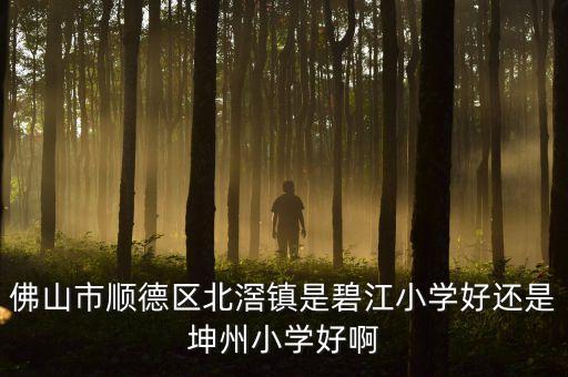 佛山市顺德区北滘镇是碧江小学好还是坤州小学好啊