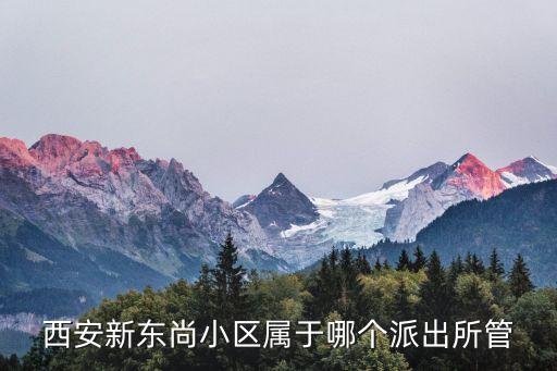 西安新东尚小区属于哪个派出所管