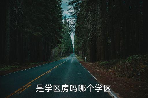 是学区房吗哪个学区