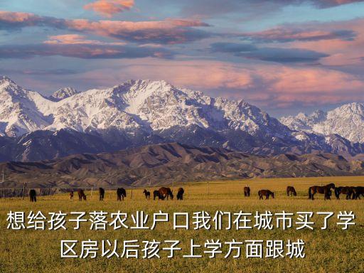 想给孩子落农业户口我们在城市买了学区房以后孩子上学方面跟城