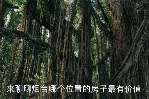 来聊聊烟台哪个位置的房子最有价值