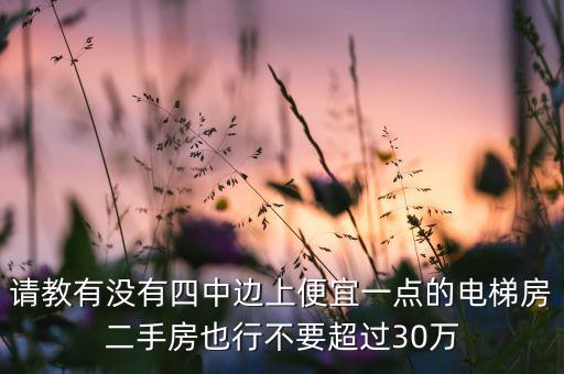 请教有没有四中边上便宜一点的电梯房二手房也行不要超过30万