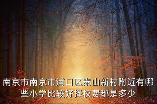 南京市南京市浦口区泰山新村附近有哪些小学比较好择校费都是多少