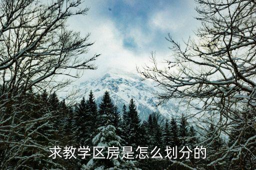 求教学区房是怎么划分的