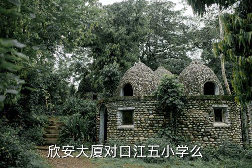 欣安大厦对口江五小学么