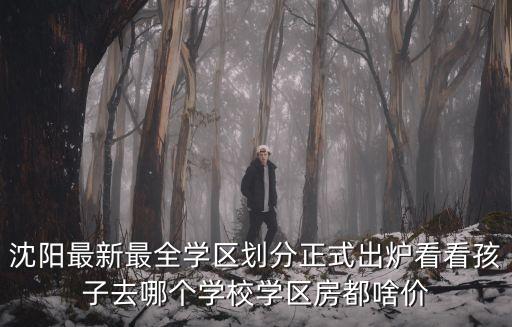 沈阳最新最全学区划分正式出炉看看孩子去哪个学校学区房都啥价